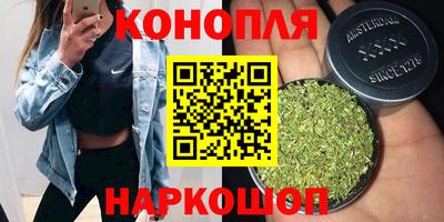 СК Новокубанск