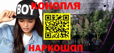 соль ск Новодвинск
