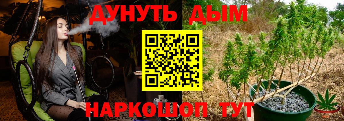 Бошки марихуана гибрид Советский